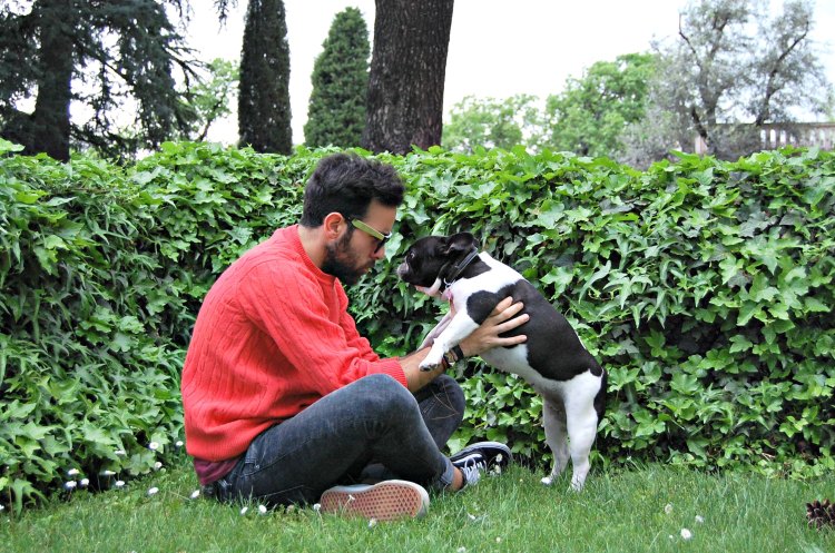 13 10third fashion italian blogger super h&m skinny vans puppy doggie french bulldog